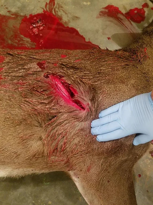 Why A Four Inch Broadhead?